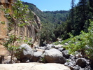 photo thumbnail #13
