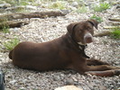 photo thumbnail #1