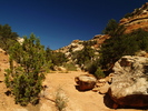 photo thumbnail #6