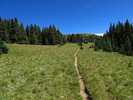 photo thumbnail #4