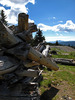 photo thumbnail #5