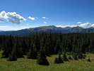 photo thumbnail #8