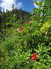 photo thumbnail #13