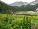 photo thumbnail #14