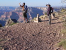 photo thumbnail #2