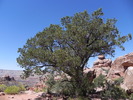 photo thumbnail #7