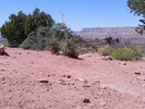 photo thumbnail #8