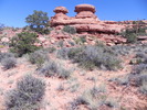 photo thumbnail #9