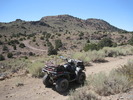 photo thumbnail #3