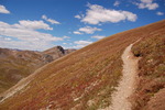 photo thumbnail #12