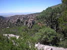 photo thumbnail #3