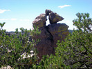 photo thumbnail #4