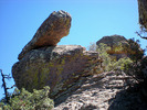 photo thumbnail #7