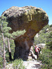 photo thumbnail #10
