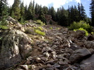 photo thumbnail #7