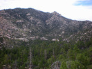 photo thumbnail #5