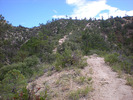 photo thumbnail #6