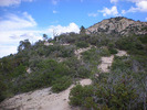 photo thumbnail #9