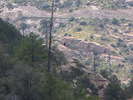 photo thumbnail #11