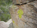 photo thumbnail #12