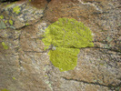 photo thumbnail #13