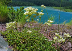 photo thumbnail #5