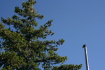 photo thumbnail #13