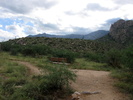 photo thumbnail #2