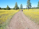 photo thumbnail #8