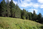 photo thumbnail #4
