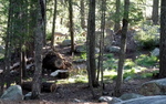 photo thumbnail #12