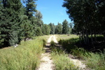 photo thumbnail #4
