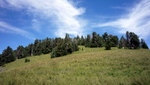photo thumbnail #8