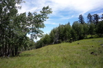 photo thumbnail #12