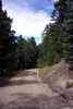 photo thumbnail #15