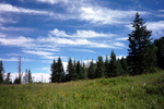photo thumbnail #12