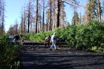 photo thumbnail #14