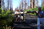 photo thumbnail #15