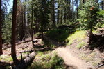 photo thumbnail #4