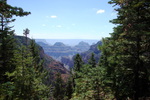 photo thumbnail #5
