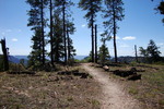 photo thumbnail #6