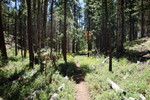 photo thumbnail #10