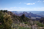 photo thumbnail #13