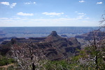 photo thumbnail #14