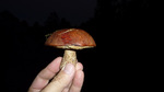 photo thumbnail #3