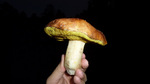 photo thumbnail #4