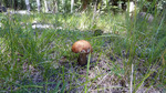photo thumbnail #9