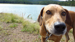 photo thumbnail #13