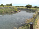photo thumbnail #6