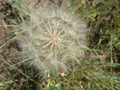 photo thumbnail #15